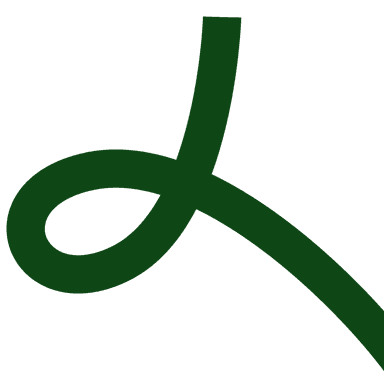 decorative line
